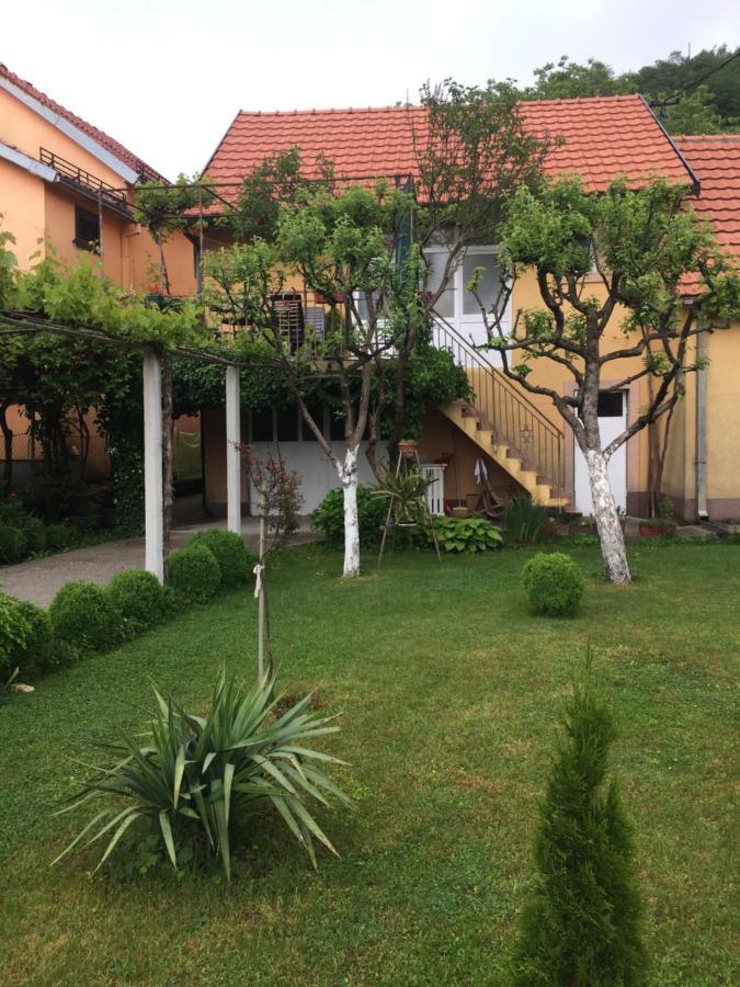 Apartman Lili Cetinje Buitenkant foto