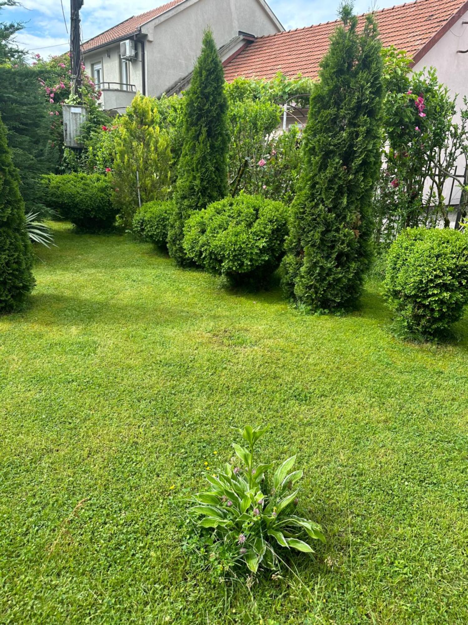 Apartman Lili Cetinje Buitenkant foto