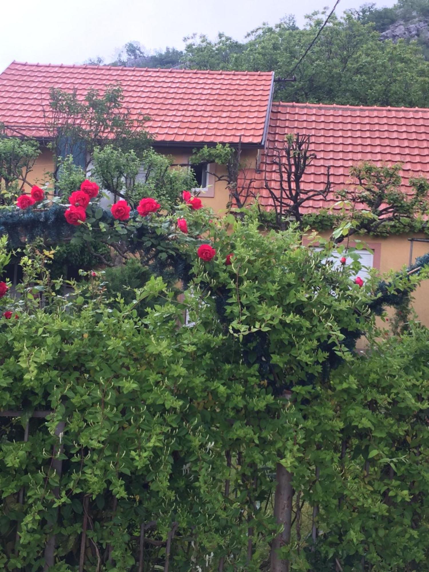 Apartman Lili Cetinje Buitenkant foto