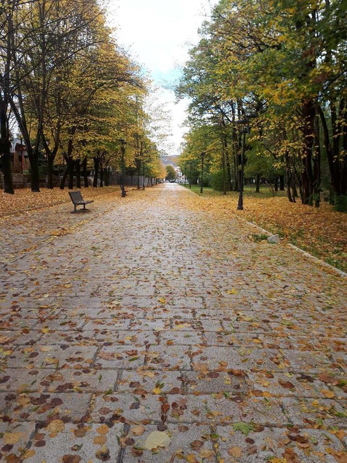 Apartman Lili Cetinje Buitenkant foto
