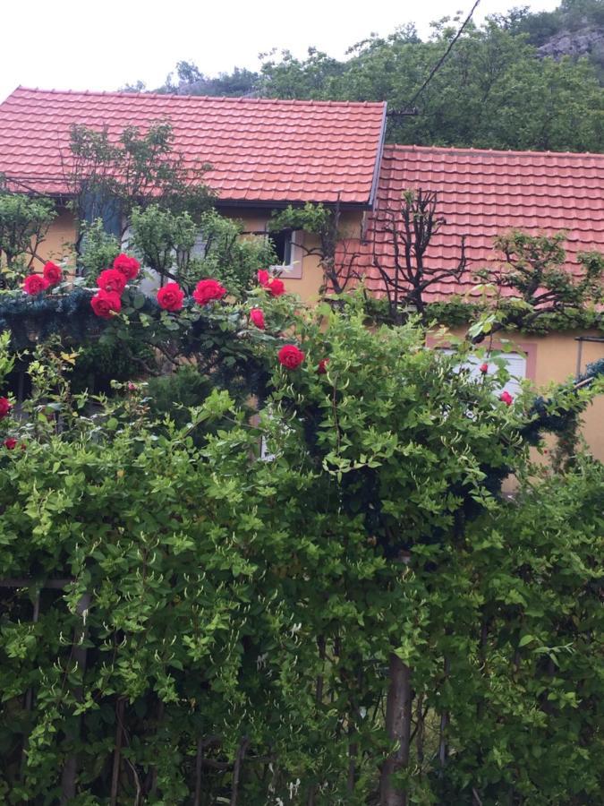 Apartman Lili Cetinje Buitenkant foto